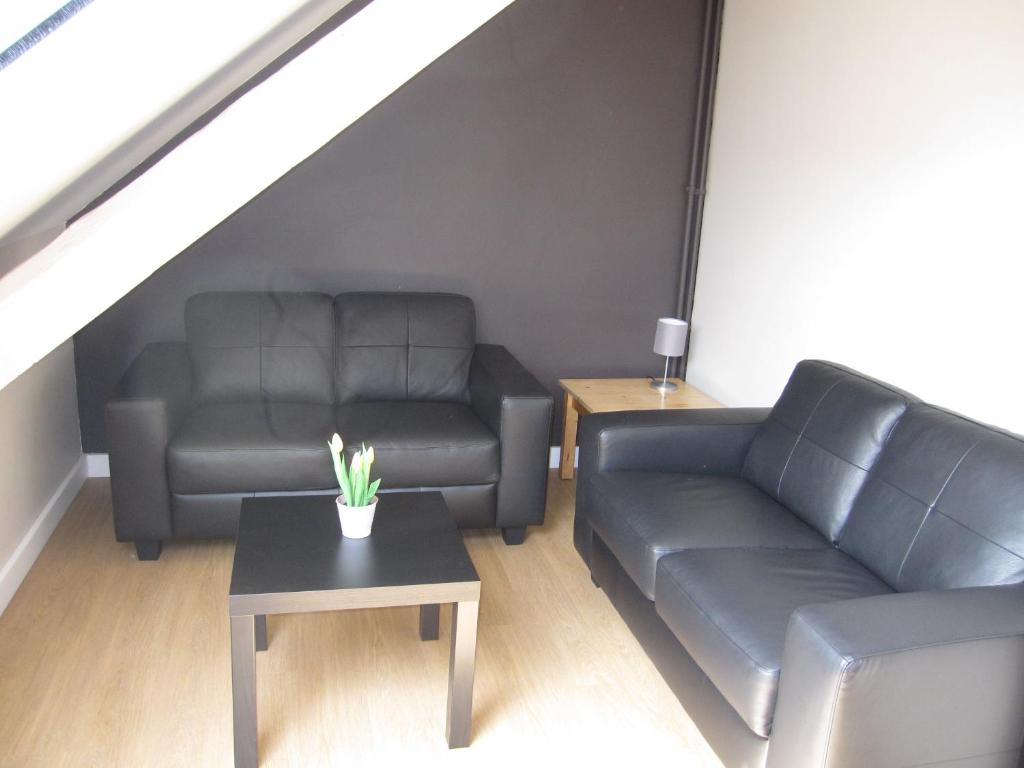 Bonobo Apartments 5