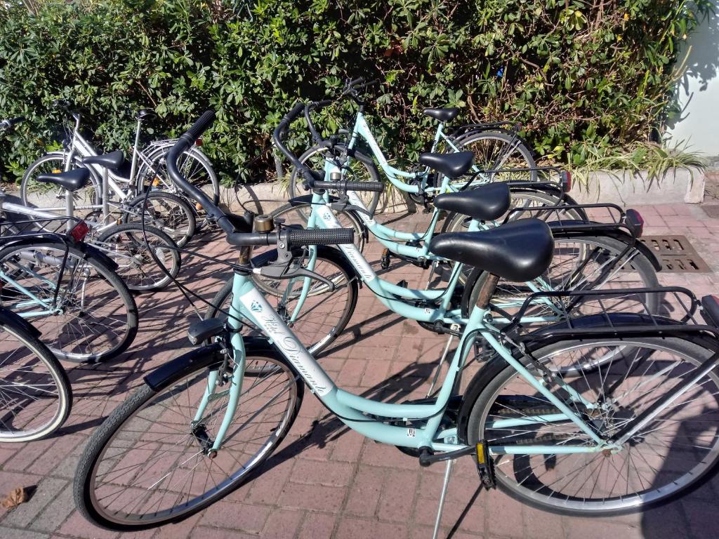 - un groupe de vélos garés l'un à côté de l'autre dans l'établissement Hotel Diamante, à Francavilla al Mare