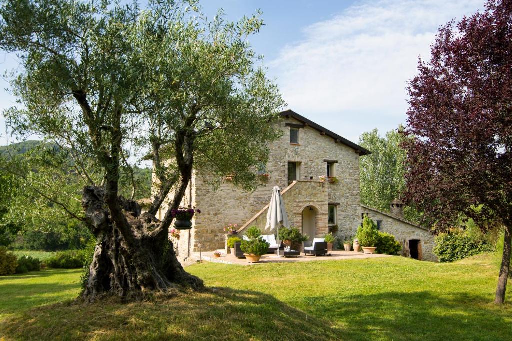 une maison en pierre avec un arbre devant dans l'établissement CASALE SANTA CATERINA Jacuzzi and Pool, à Collazzone