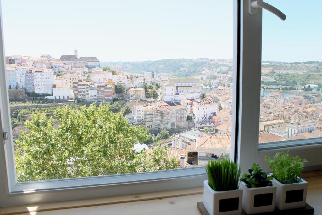 The View Coimbra 6