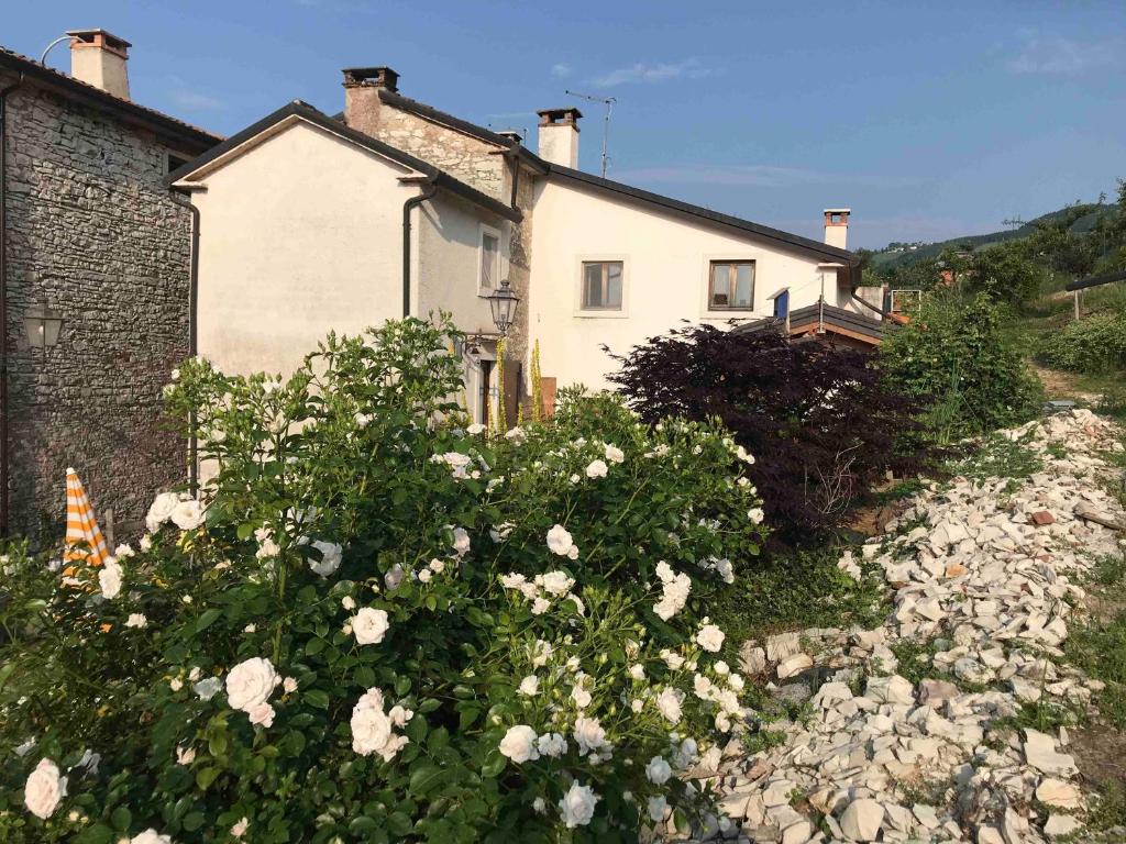 Casadelsale 5