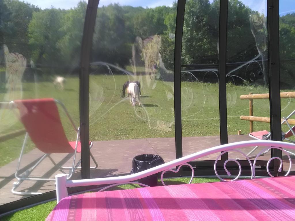 une chambre avec un lit et un cheval dans un champ dans l'établissement Ferme des baillards, à Bélesta