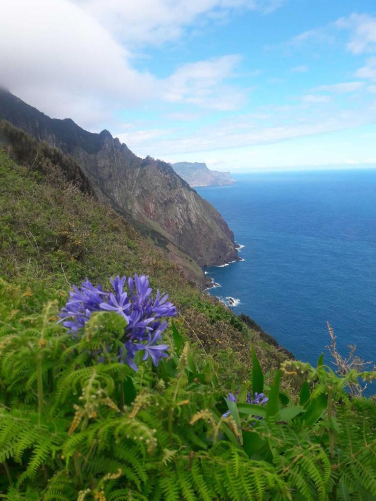 Funchal Bay View Holiday Rental 6