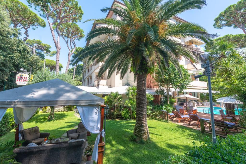un palmier dans la cour d'une maison dans l'établissement Hotel Kyrton, à Forte dei Marmi