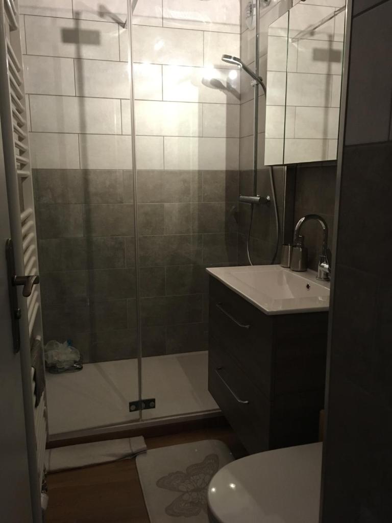 une salle de bain avec une douche, des toilettes et un lavabo dans l'établissement CERRO TORRE PLAGNE Du Samedi Au Samedi, à Aime La Plagne 30 autres photos