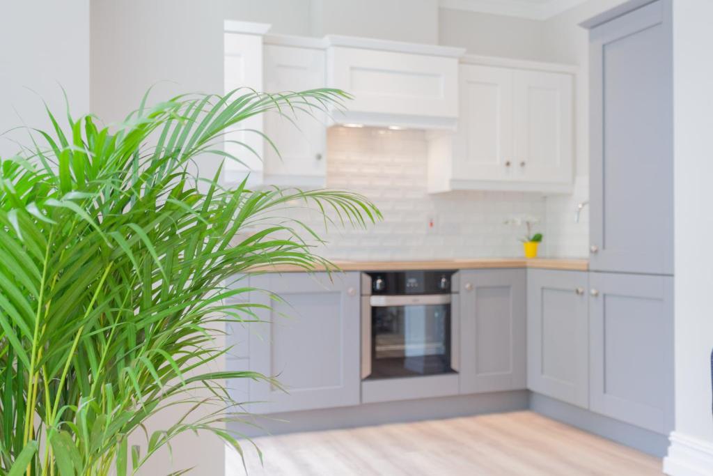 5 Star - The Ulsterville Residences - Free On-site Parking 7