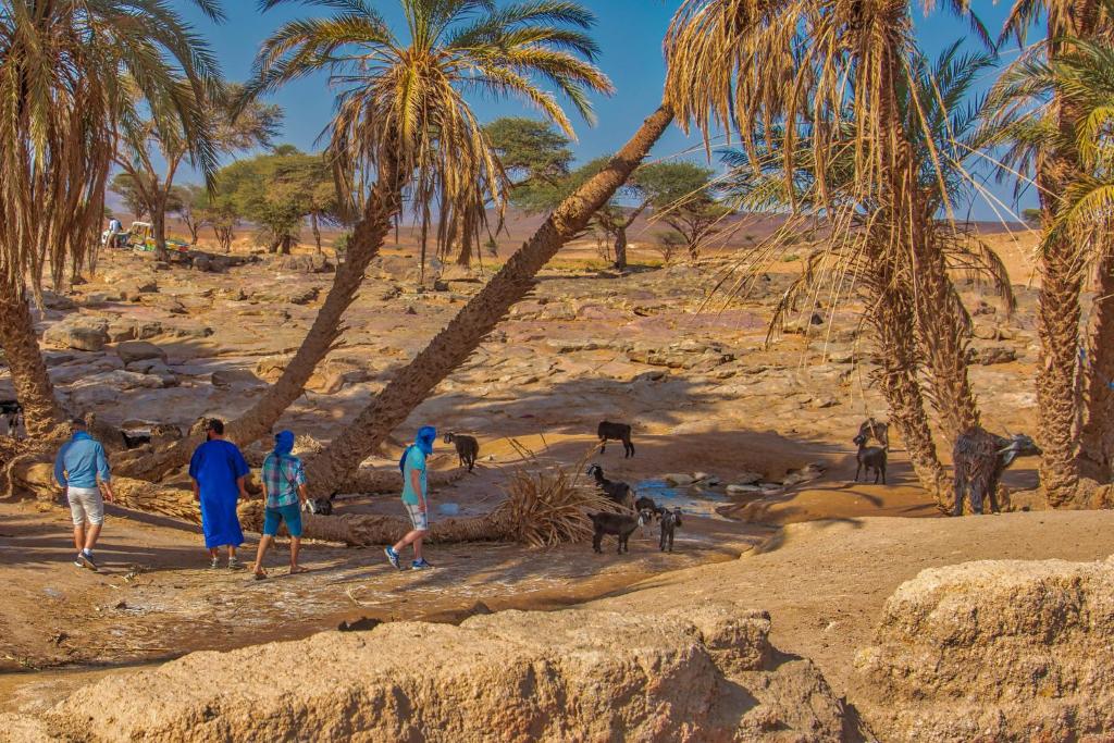 un groupe de personnes marchant sur une plage avec des palmiers dans l'établissement Authentic riad & activities Erg, à M'Hamid El Ghizlane