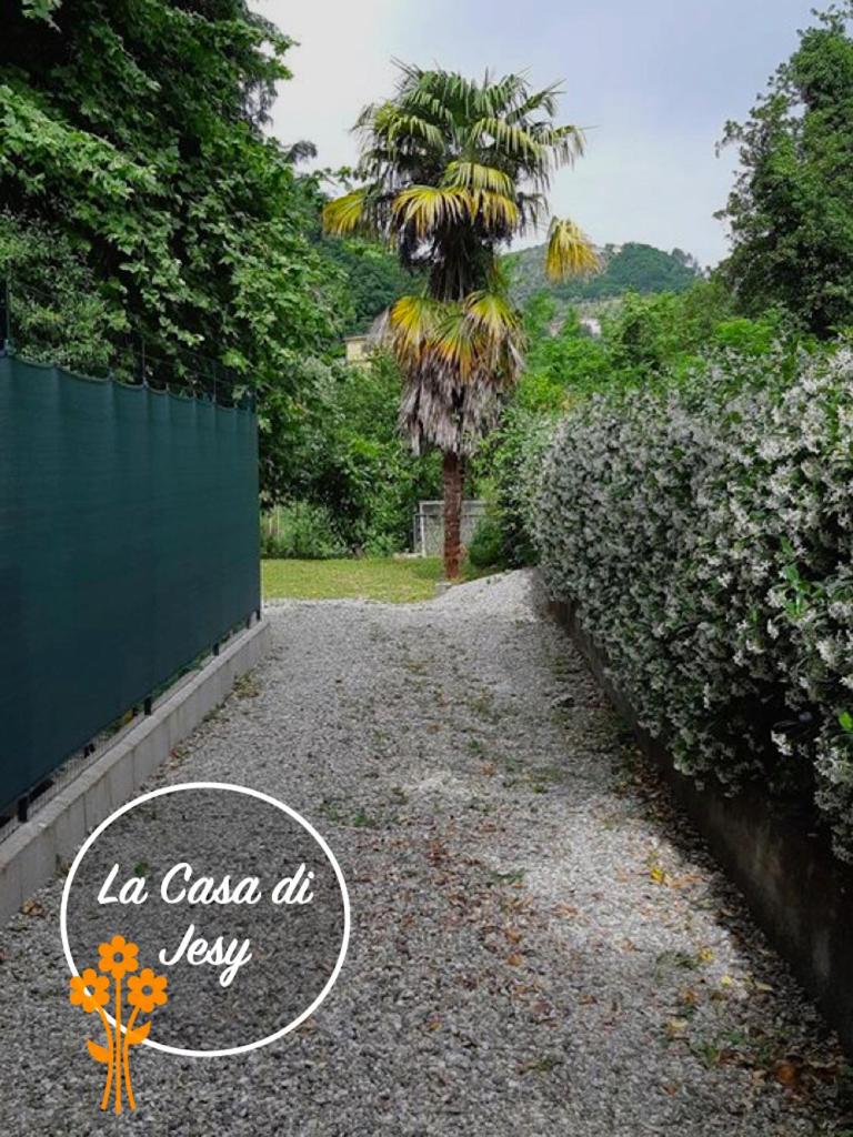 La Casa Di Jesy 5