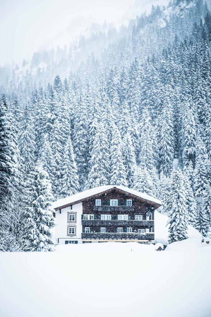 Heimspitze - Alpenhotel SKI-IN & Wirtshaus