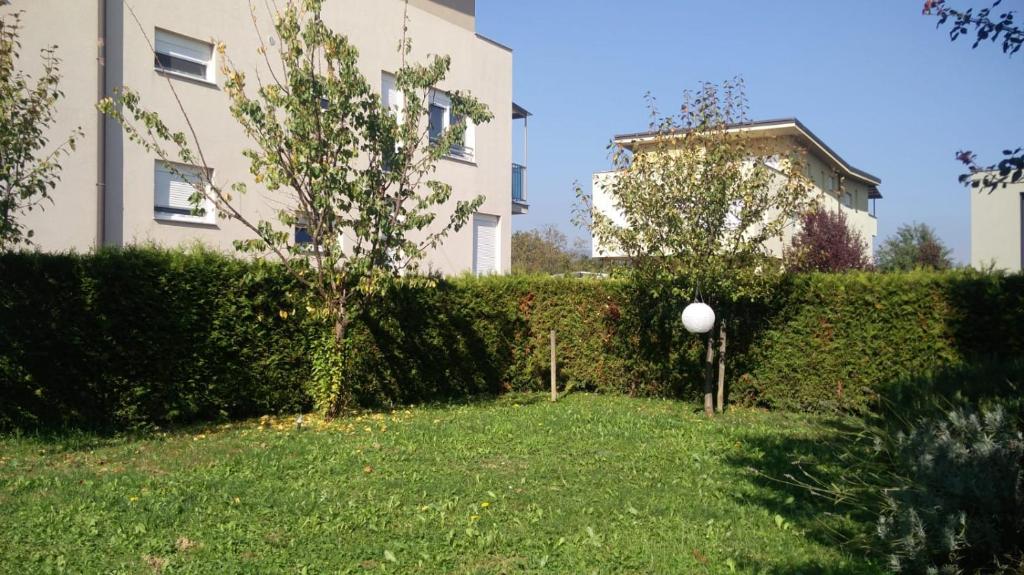 The Lovely Garden House - 4 Bedroom - Free Parking 6