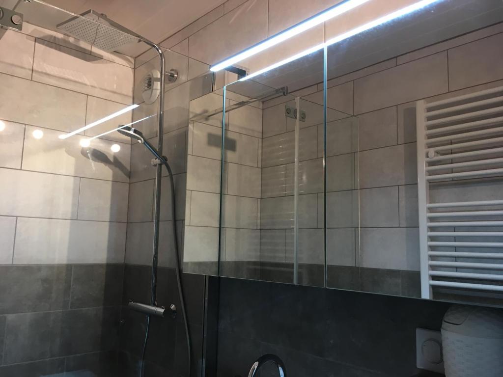 une douche avec une porte vitrée dans une salle de bain dans l'établissement CERRO TORRE PLAGNE Du Samedi Au Samedi, à Aime La Plagne