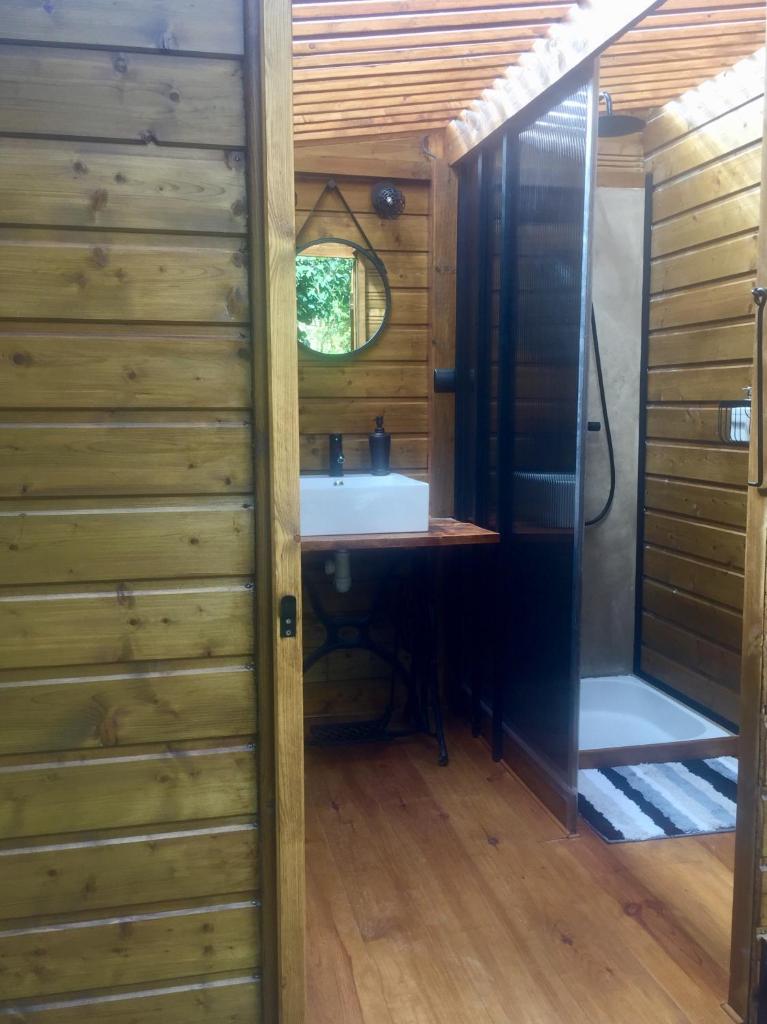 une salle de bain avec un lavabo et un miroir dans l'établissement Le Wigwam du Fassac, à Saint-Julien-du-Puy