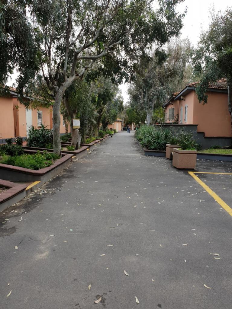 un parking vide avec des arbres et des plantes dans l'établissement Rooms in the Beach, à Catane