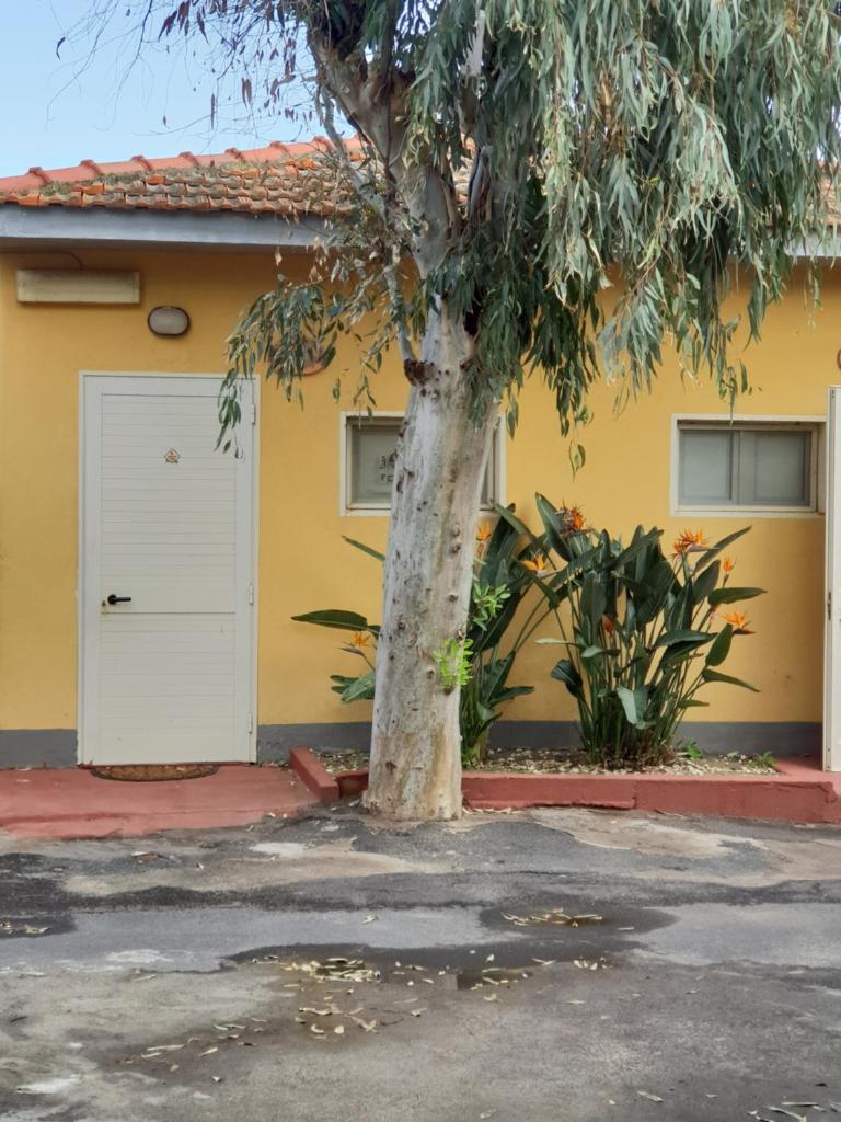 un arbre devant une maison jaune dans l'établissement Rooms in the Beach, à Catane 6 autres photos