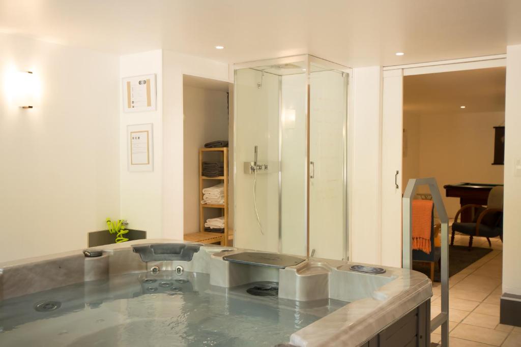 La grande salle de bains est pourvue d'un lavabo et d'une douche. dans l'établissement Le Gîte du Puit des Granges, à Fontaine-sur-Coole