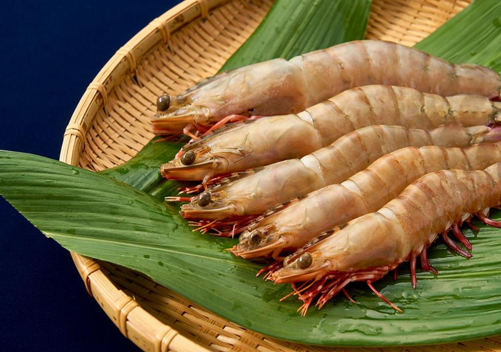 Photo de la galerie de l'établissement Shinwaka Lodge, à Wakayama