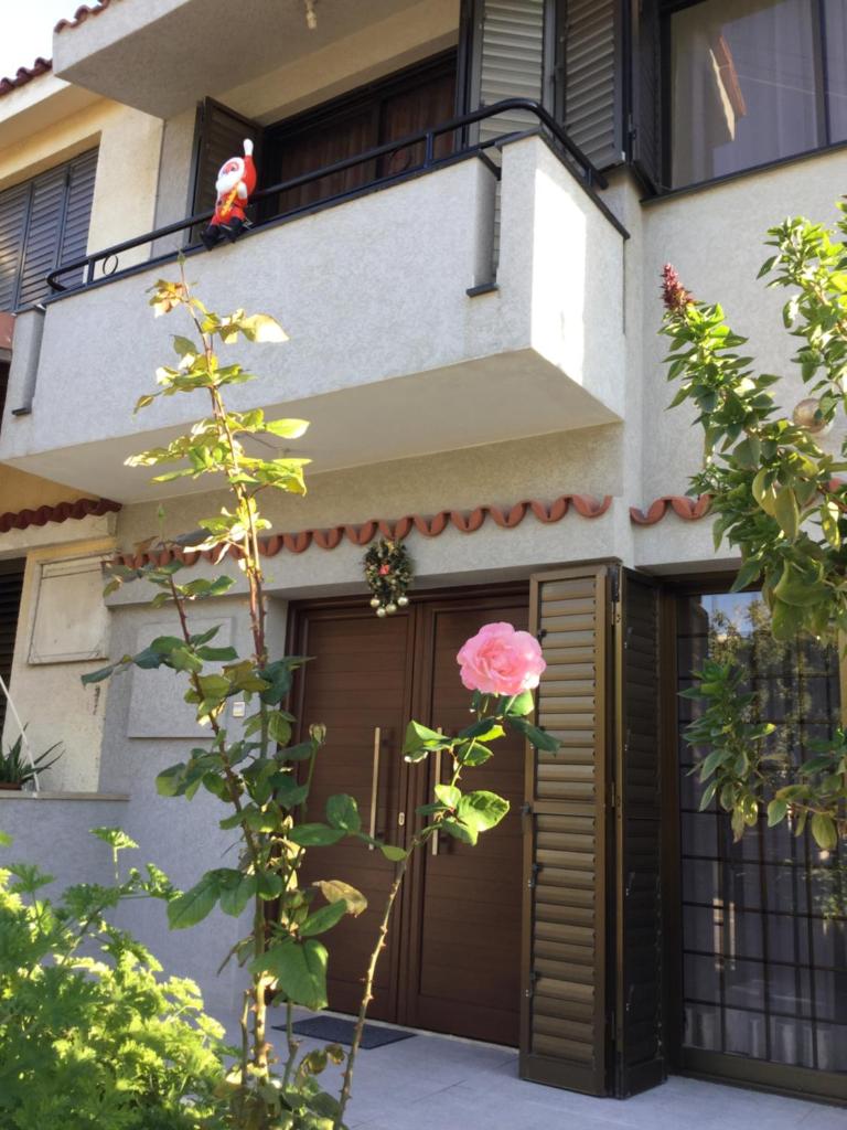 Nikola's House 8