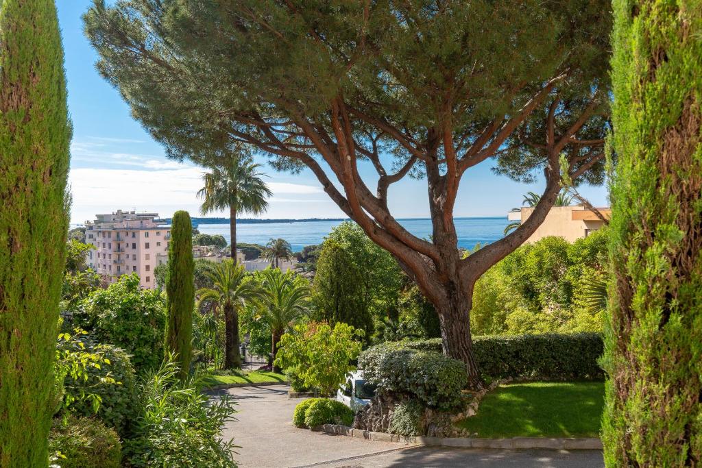 Cozy studio with sea view, swimming pool and greenery 6