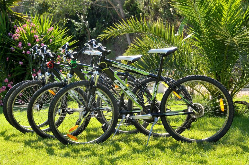 un groupe de vélos garés dans l'herbe dans l'établissement Hotel Villa Rodriguez, à Capoliveri