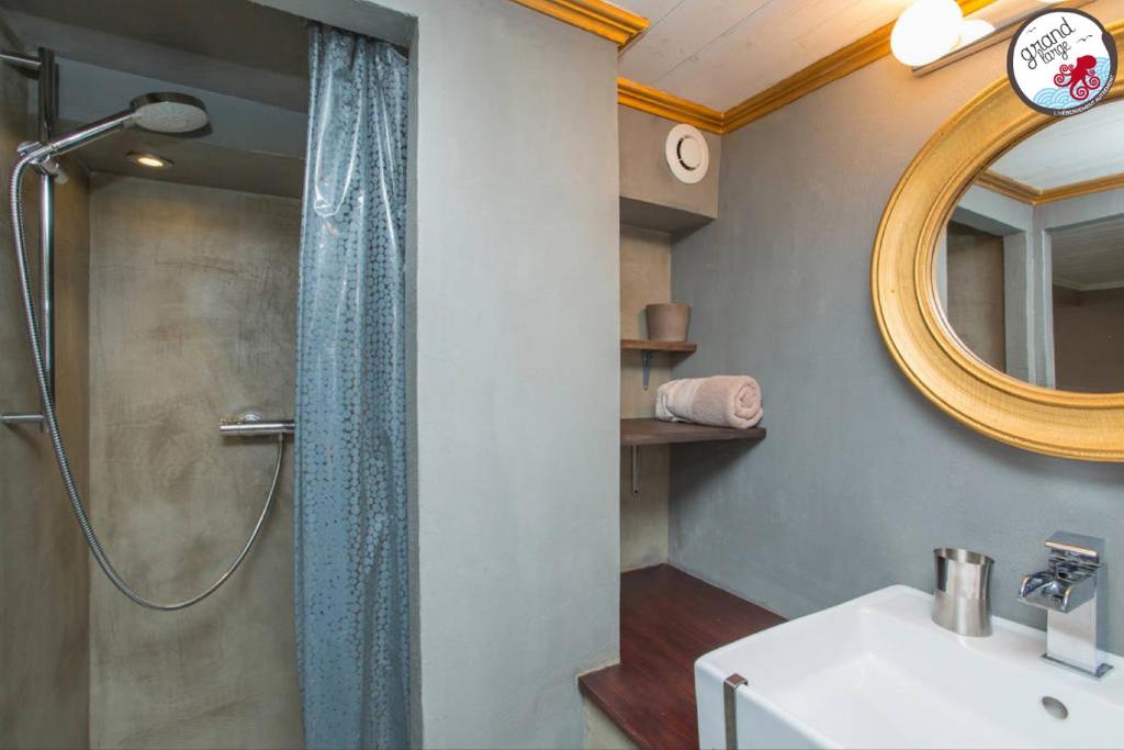 une salle de bain avec une douche avec un lavabo et un miroir dans l'établissement Le grand large, à Metz 32 autres photos