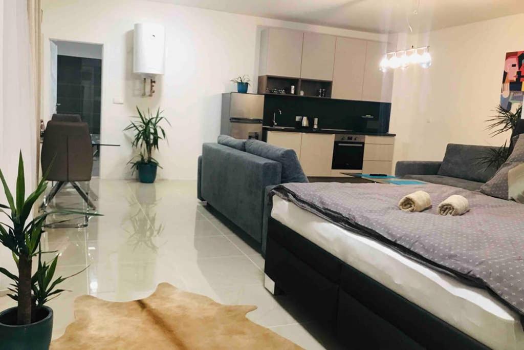 Apartment right in the center of Brno 2