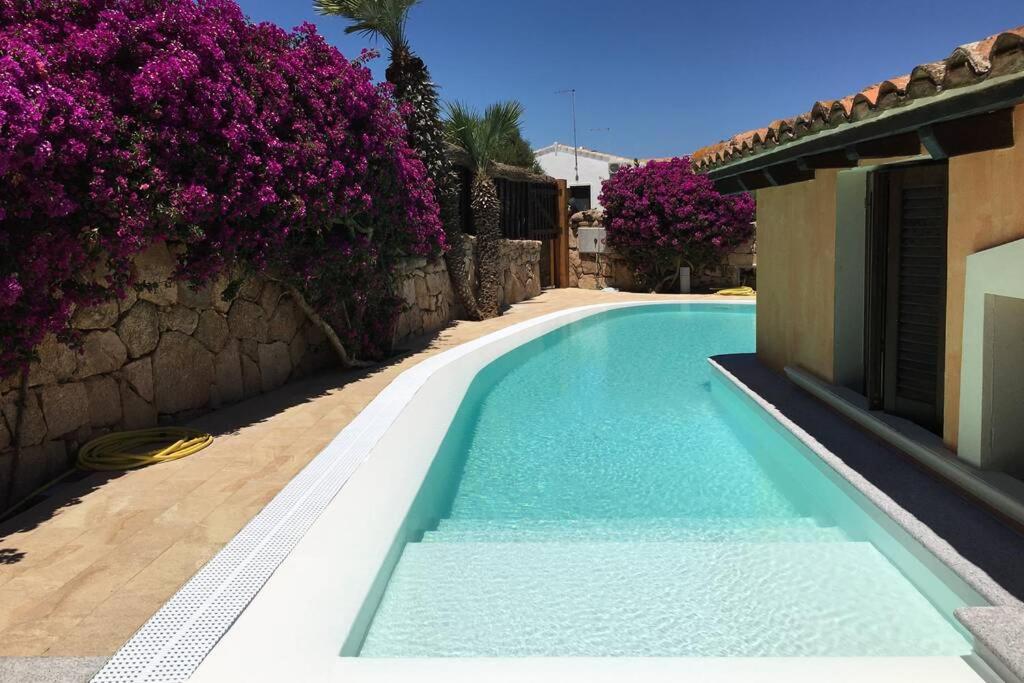 une piscine à côté d'une maison avec des fleurs violettes dans l'établissement VILLAROSA Views, à Porto San Paolo
