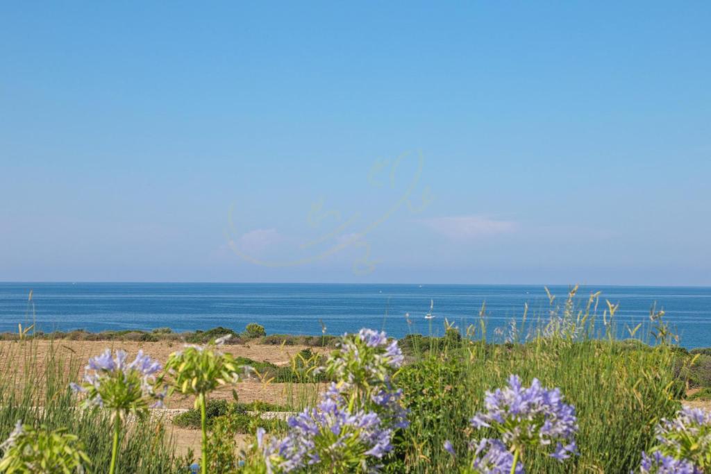 un champ de fleurs avec l'océan en arrière-plan dans l'établissement TD Villa Ponente Luxury Villa with Sea View Pool, à Monopoli
