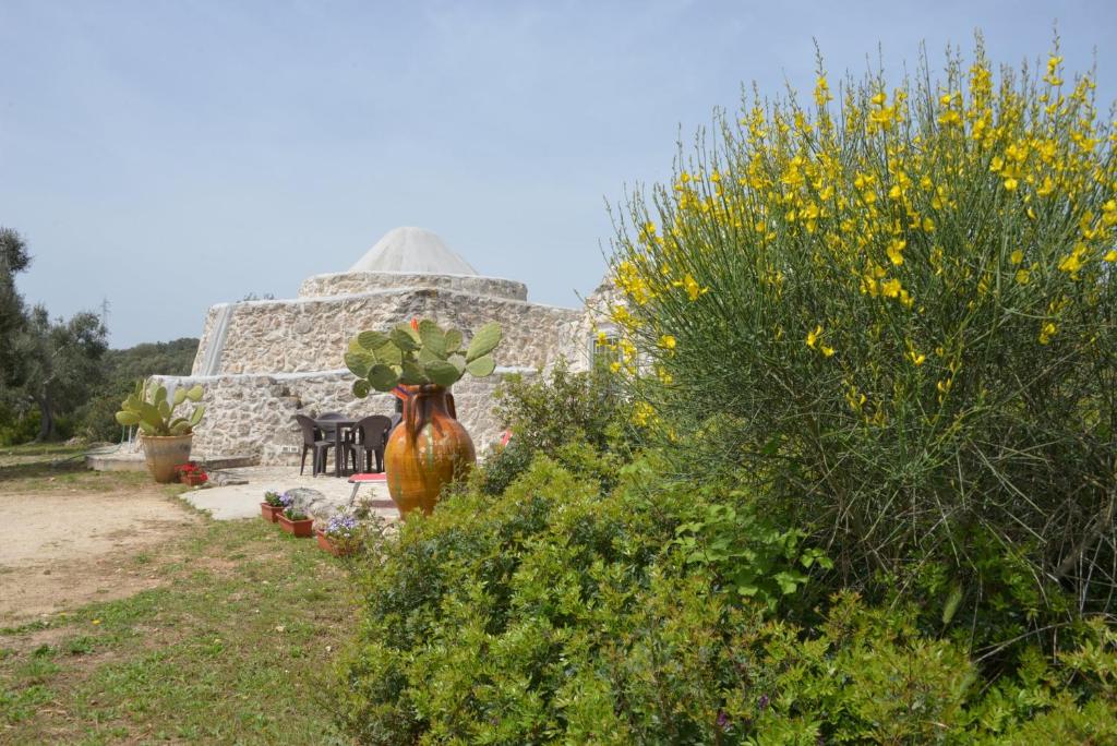 TRULLO Minuetto 5