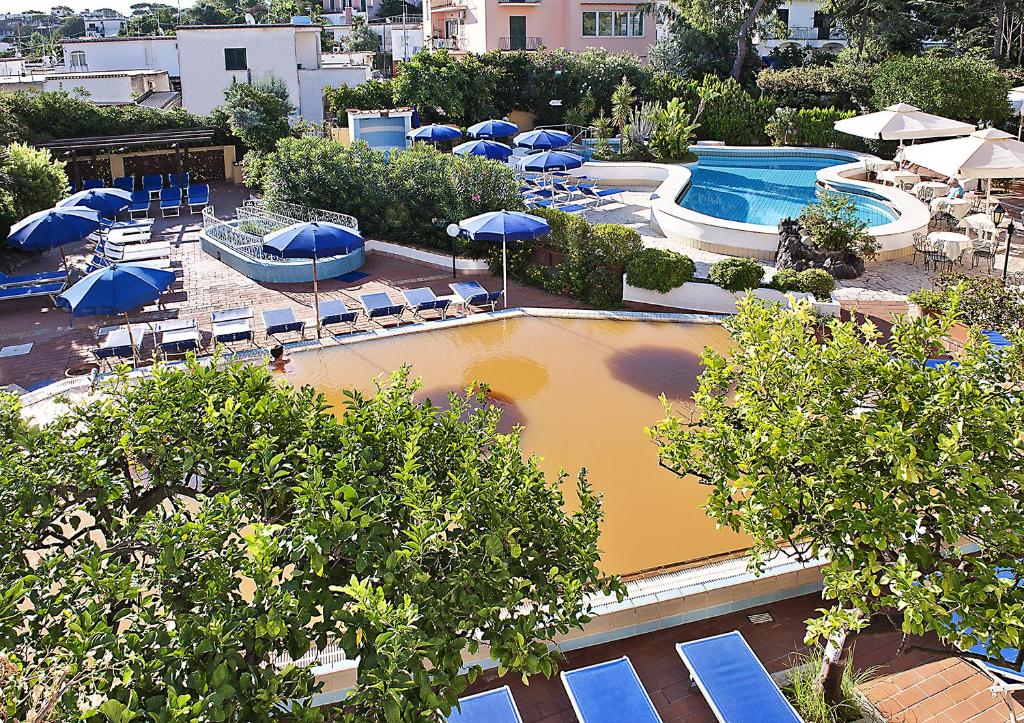 une vue aérienne d'une piscine avec des chaises et des parasols dans l'établissement Hotel Royal Terme, à Ischia