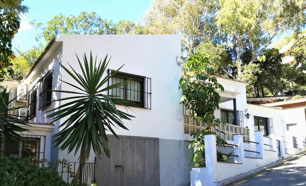 Quiet House in Malaga 7