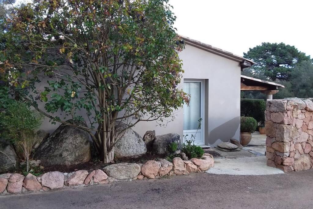 casa-anghjulina 6