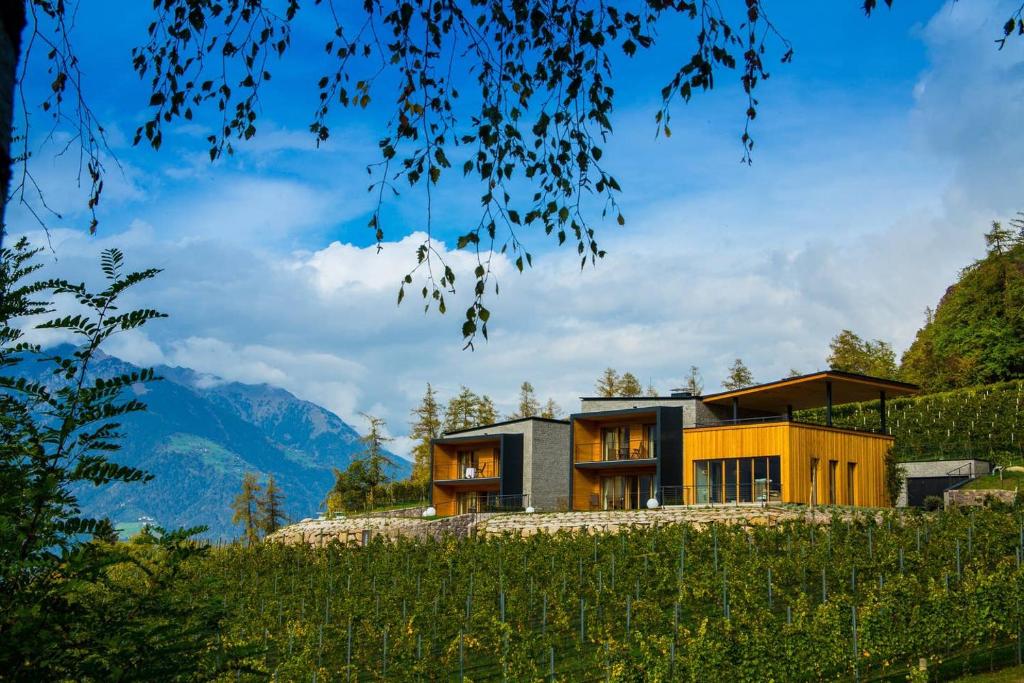 Weingut Eichenstein