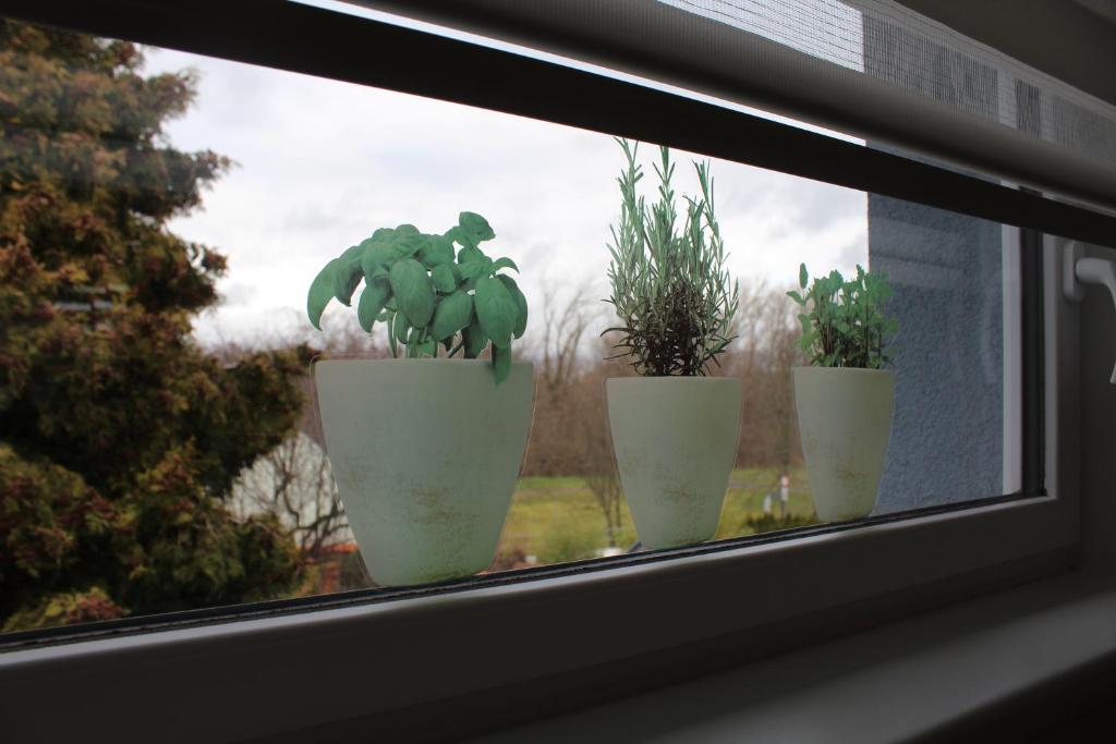 Ferienwohnung am Park 7