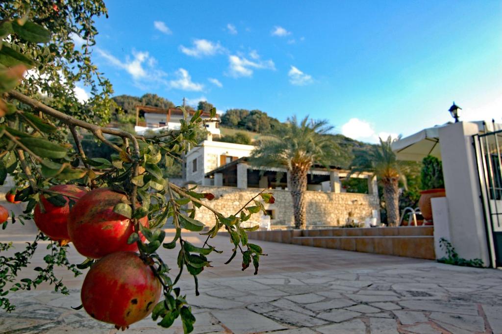 Kreta Villa Anastasia 7