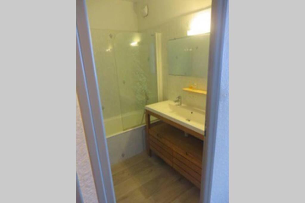 une salle de bain avec un lavabo et une douche dans l'établissement Appartement cosy Deux Alpes front de neige 34m2 6p, à Mont-de-Lans