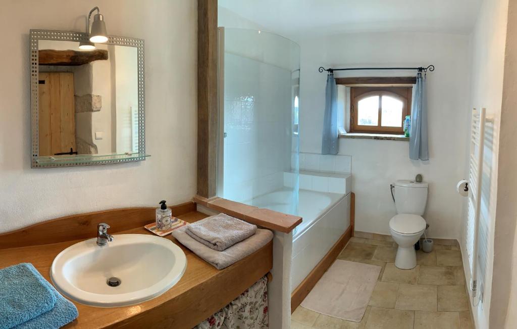 une salle de bain avec un lavabo, une douche et des toilettes dans l'établissement Gîte Le Pressoir, à Cahuzac-sur-Vère