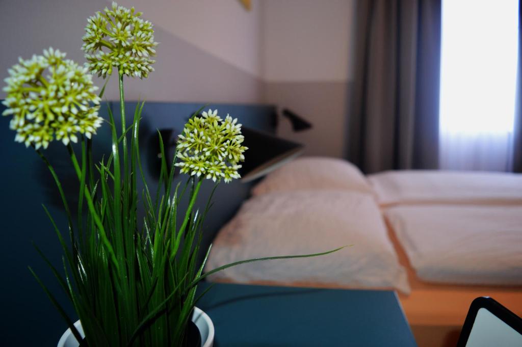 Pension Elisabeth - Rooms & Apartments 7