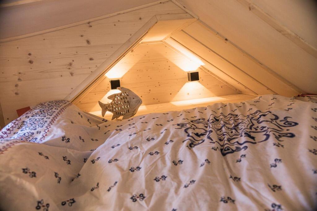Tiny-Haus im Südhessischen Ried 2