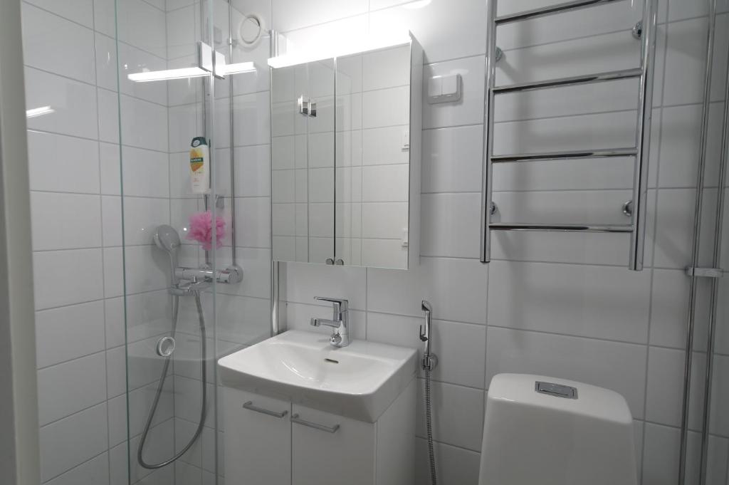 Cozy Apartment near Turku Cathedral Church 8