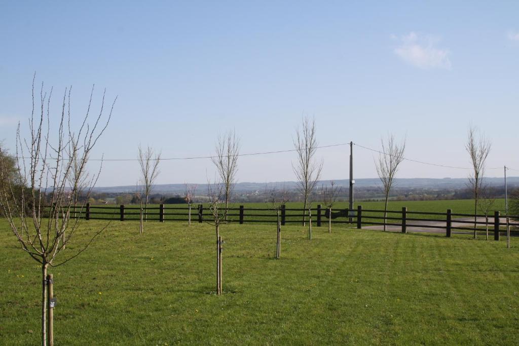 un groupe d'arbres dans un champ à côté d'une clôture dans l'établissement Roulotte Poulette, à Mortagne-au-Perche