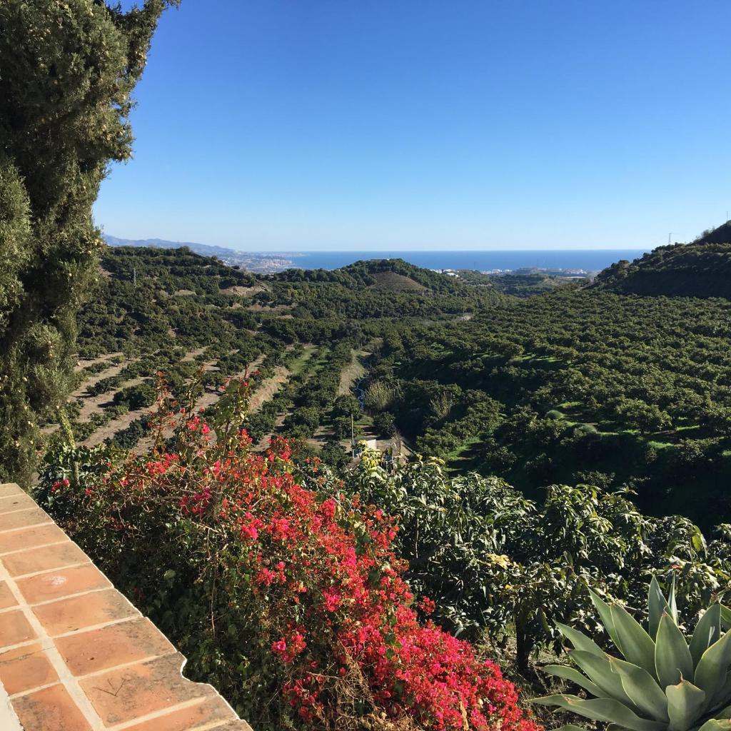 Casa La Dehesa 1