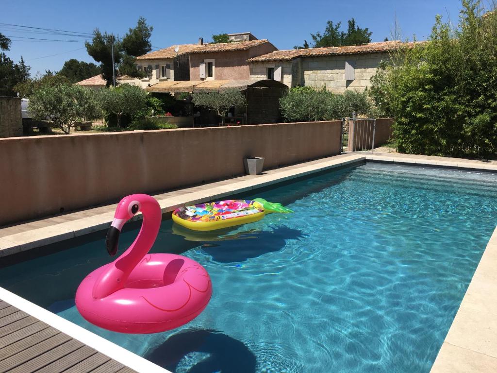 un cygne rose et une piscine avec un flotteur dans l'établissement Mas Guiraud, un instant rêvé, à Beaucaire