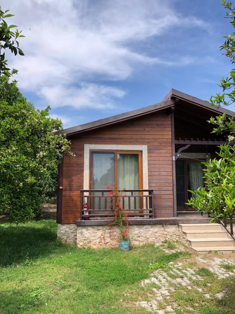 Villa Bilge 6