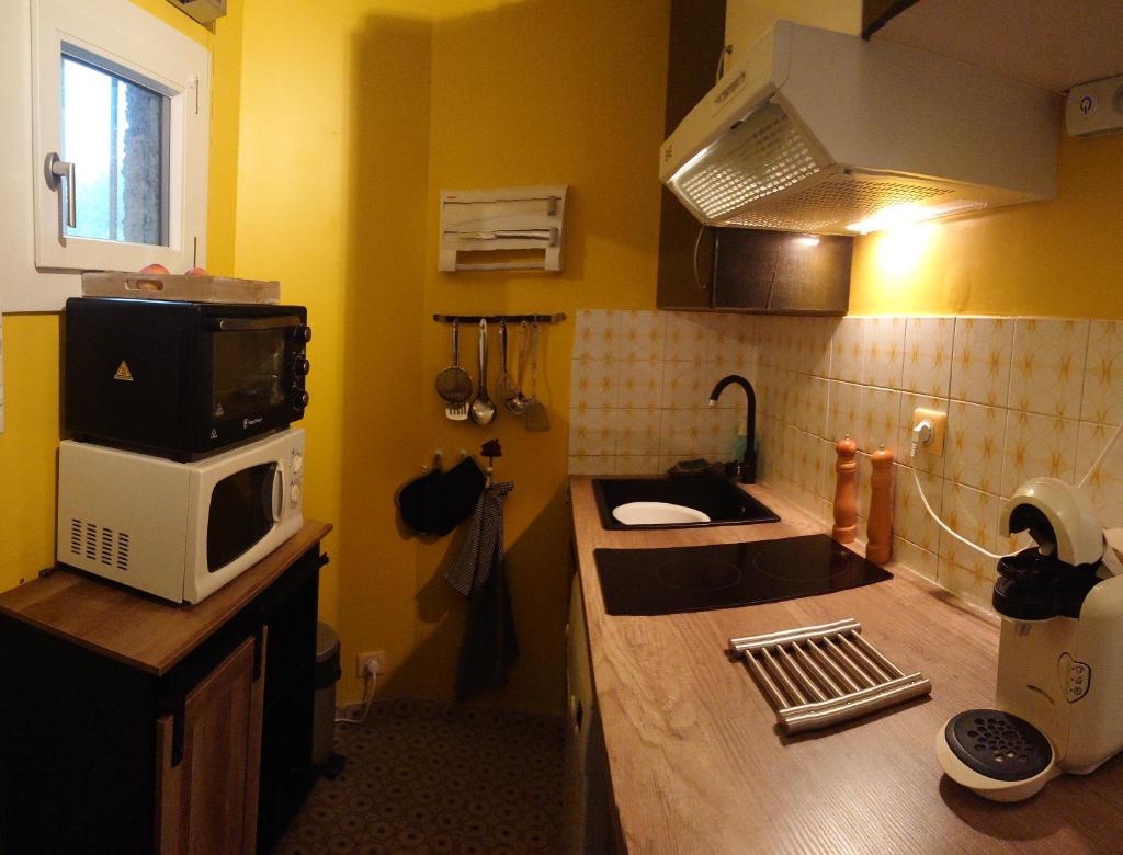 une cuisine avec un évier et un micro-ondes sur un comptoir dans l'établissement Studio Le Boussolenc, aux Orres