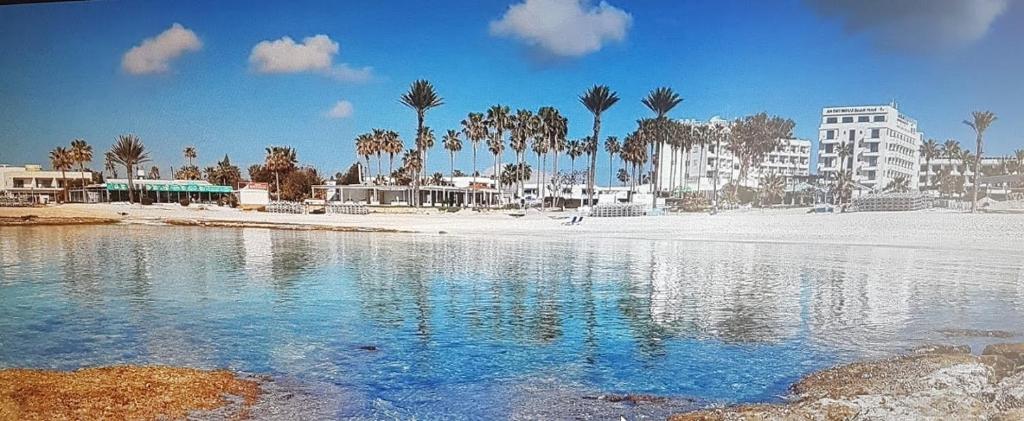 Christopher's Sandy Beach Suites 4