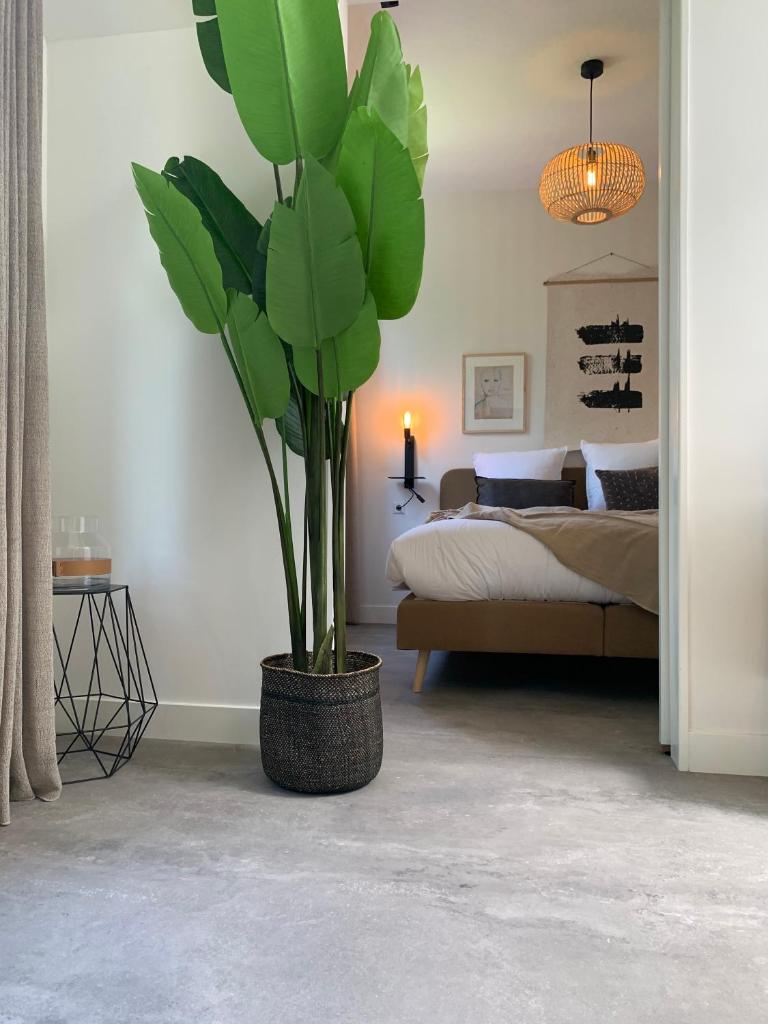 Utrecht City Apartments - Maliesingel 6
