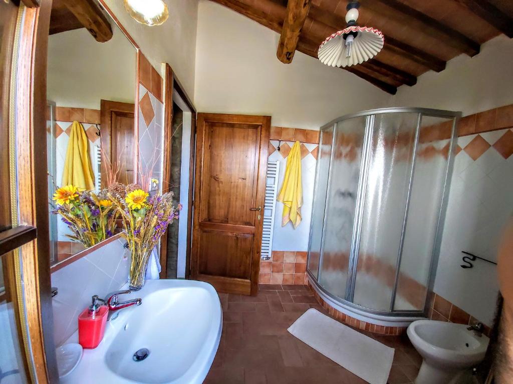 une salle de bain avec douche et lavabo dans l'établissement Il Poggio, à Montisi