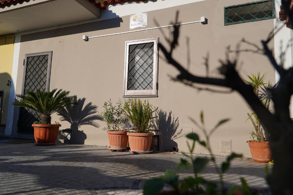 Aiello house 6