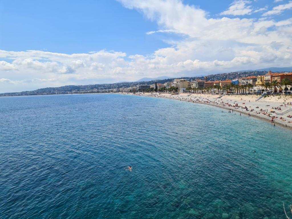 Beautiful 1 bedroom flat 6