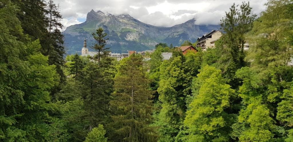 une forêt d'arbres avec une montagne en arrière-plan dans l'établissement Elégant et moderne, au pied du Mont-Blanc, à Saint-Gervais-les-Bains